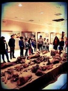 Eordaialive.com - Τα Νέα της Πτολεμαΐδας, Εορδαίας, Κοζάνης Πτολεμαΐδα :Μια Κυριακή στο Μουσείο