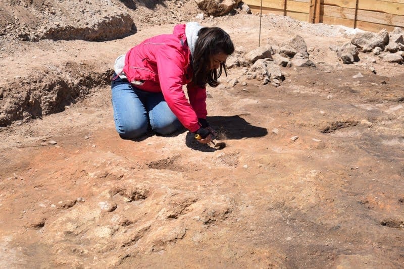Eordaialive.com - Τα Νέα της Πτολεμαΐδας, Εορδαίας, Κοζάνης Δράση Εφορείας Αρχαιοτήτων Κοζάνης: «Αρχαιολογικό Μουσείο Αιανής: Τα παιδιά εμπνέονται και δημιουργούν!»