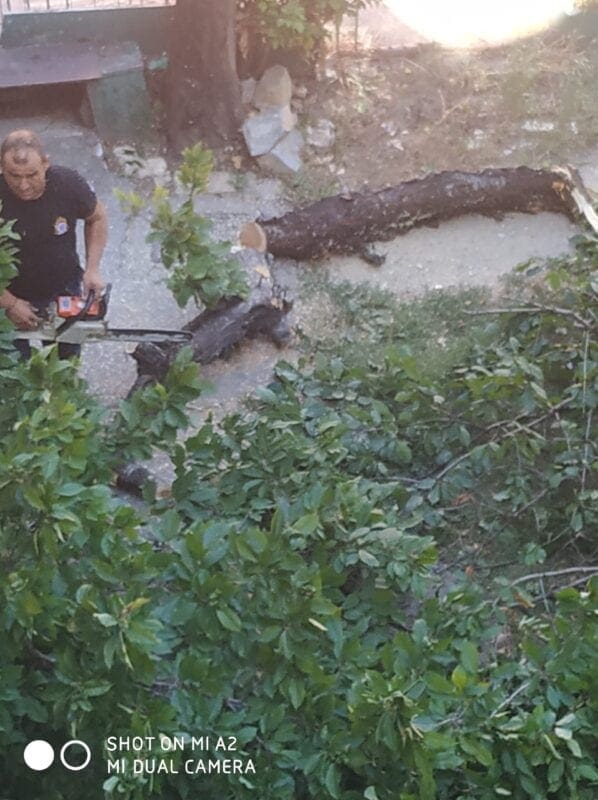 Eordaialive.com - Τα Νέα της Πτολεμαΐδας, Εορδαίας, Κοζάνης Πτολεμαΐδα : Έσπασε δέντρο από τον αέρα!! (φωτογραφίες)